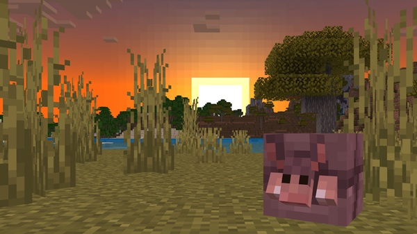 minecraft 1.26.20 apk gratis